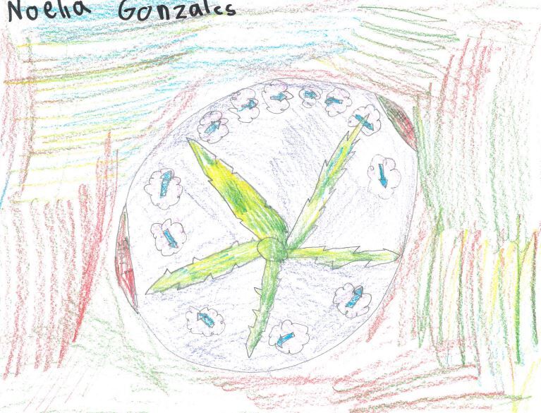 Noelia Gonzalez, grade 2, Parkside